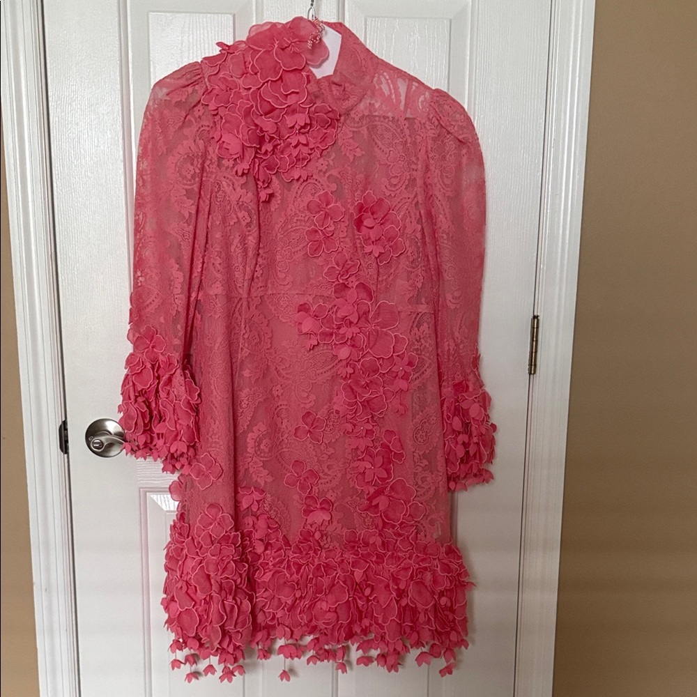 Zimmermann Pink Long-Sleeve Floral Appliqué Lace Dress